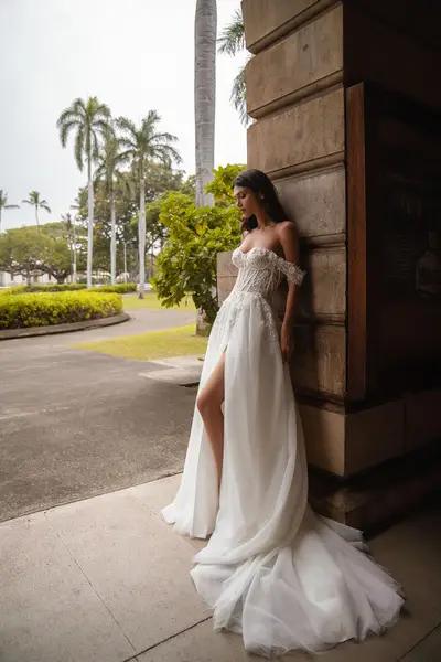 Missing image for Sample Wedding dress S-675-Vanessa- size 10 in stock